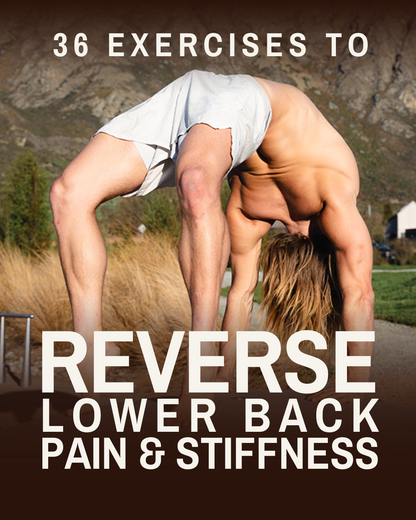 36 Exercises To Reverse Lower Back Pain & Stiffness